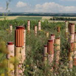 Ilot de Biovidersité (Biodiversity Island), revealed in September 2024