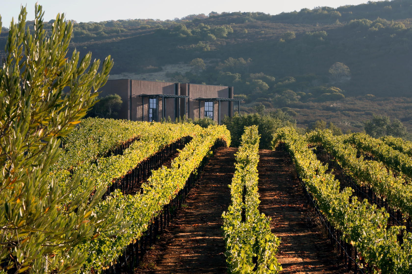 Credit: Continuum Estate