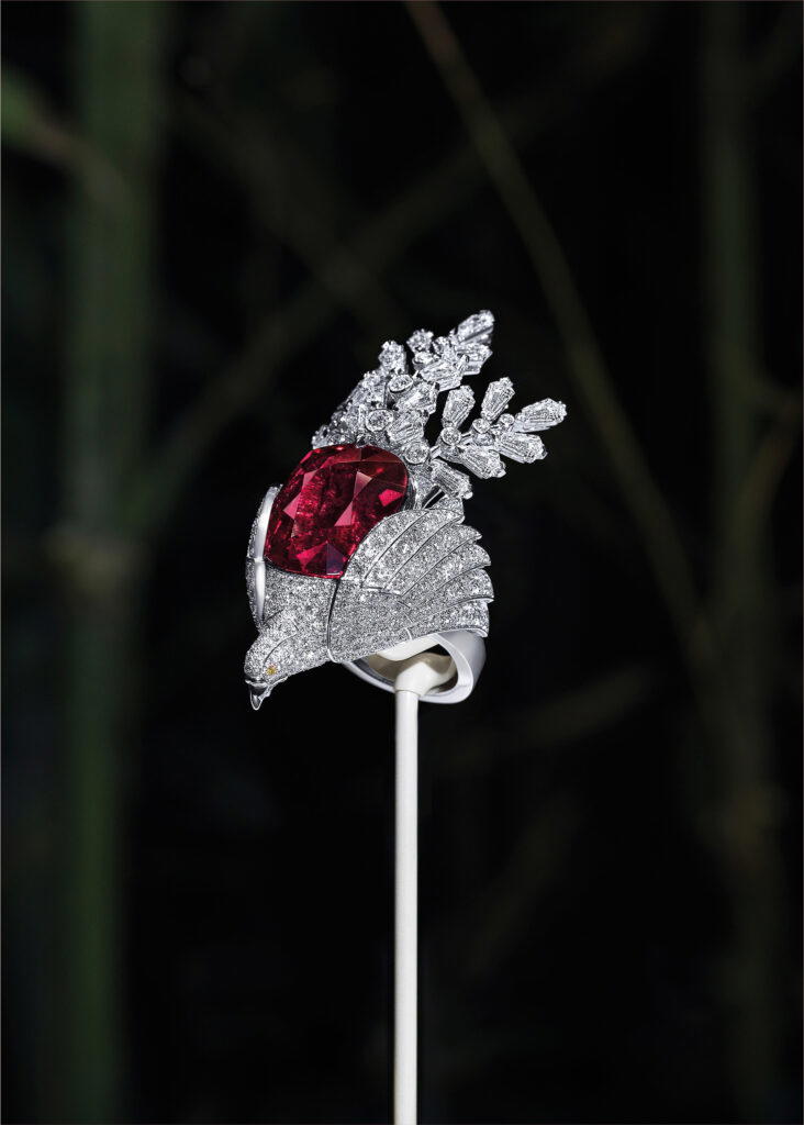 Paradisier ring in white gold with diamonds and a 23.69-ct rubellite