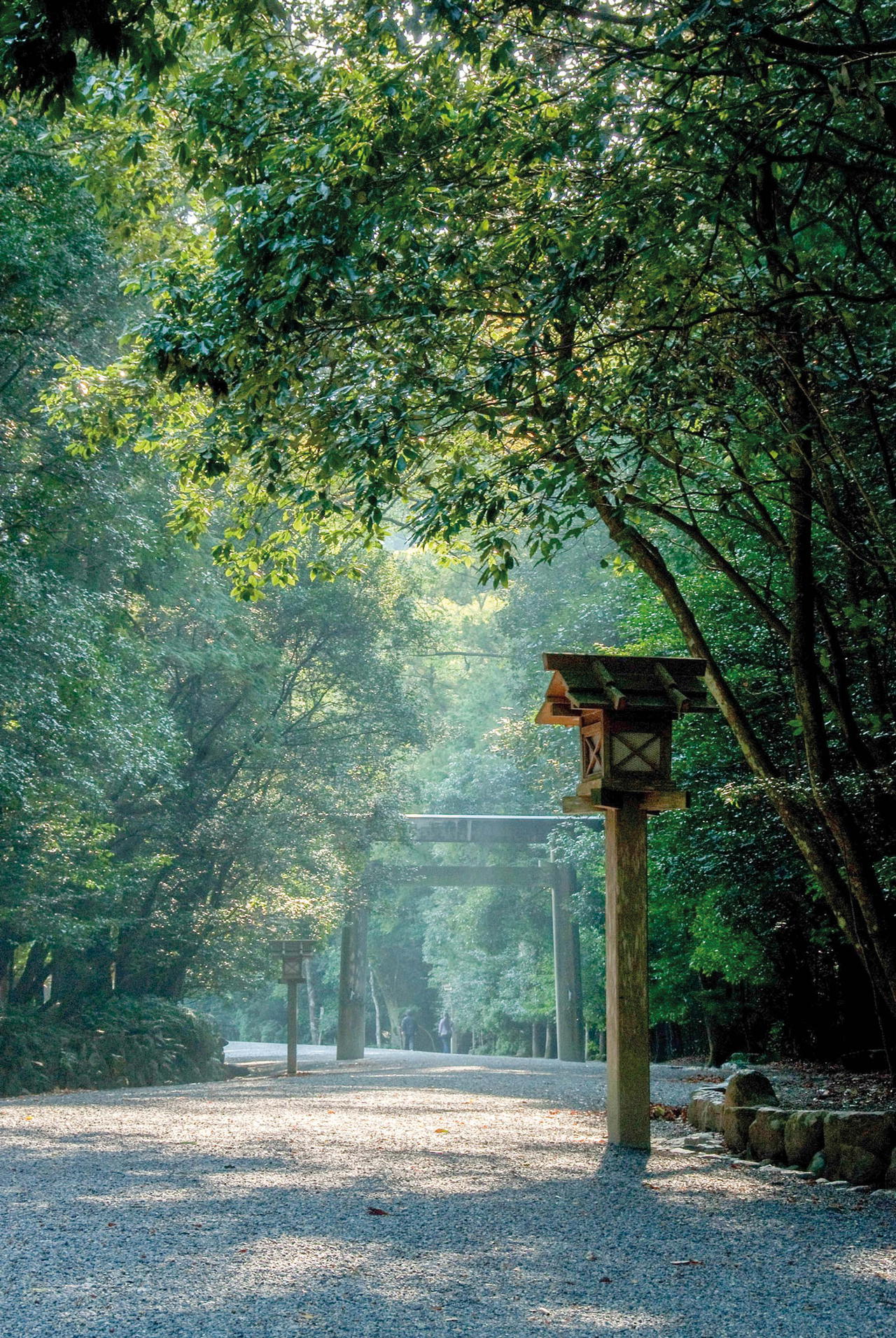 The peaceful trail to the Geku Shrine (outer shrine) at Ise Jingu. Photo: Visit Iseshima