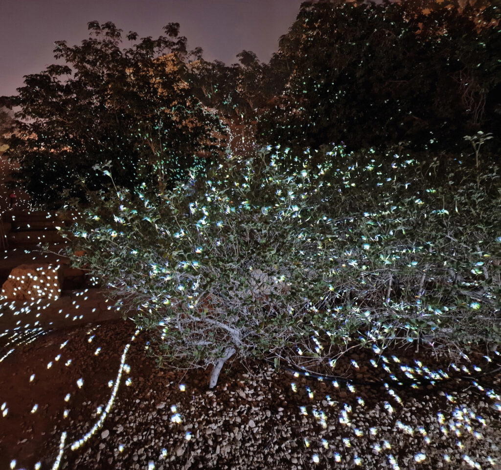 ‘The Garden of Pythia’ (2025). Photo: Charles Sandison