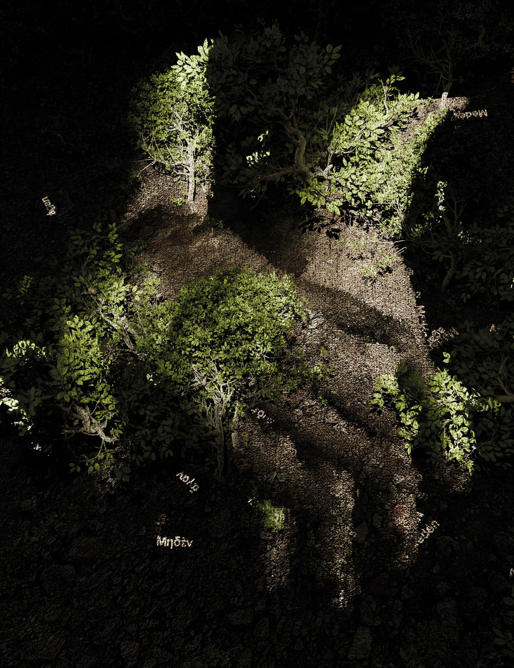 ‘The Garden of Pythia’ is a site-specific, permanent installation commissioned for Pi, the Global Centre for Circular Economy and Culture in Delphi. Photo: Charles Sandison