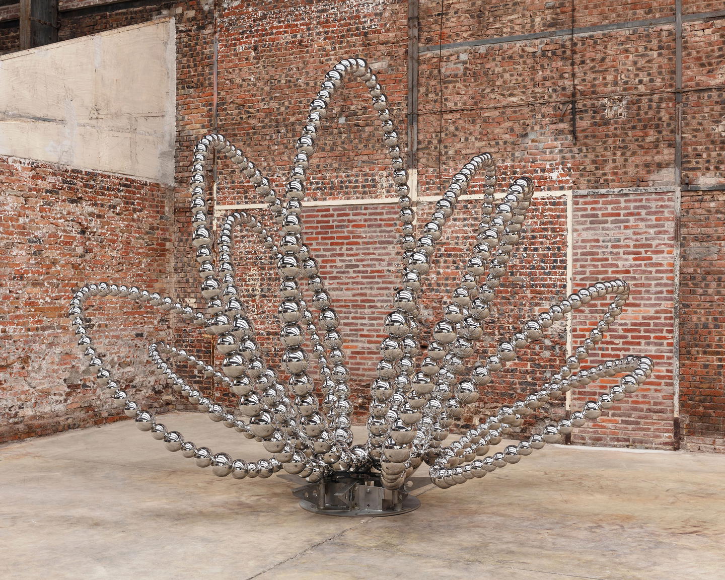 09.-LOTUS_MUSEE-CALVET.jpg?