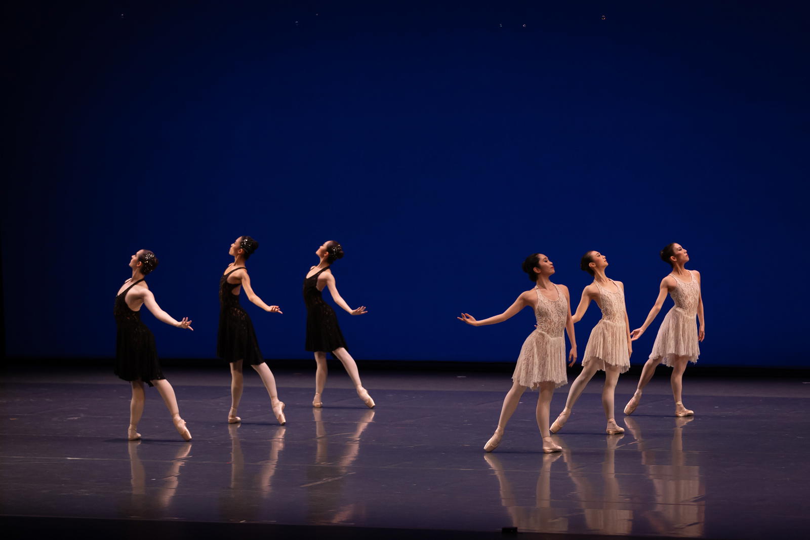 Double Contrasts by Choo-San Goh. Photo: Bernie Ng