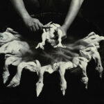 “Artist’s Proof: Singapore at 60” exhibition