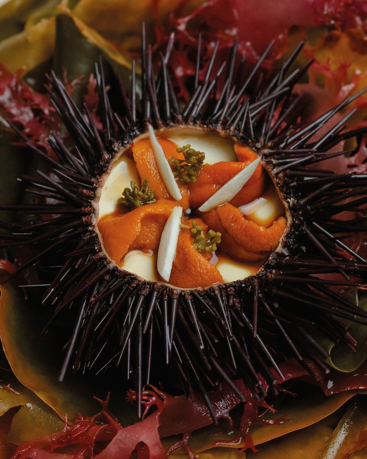 Soya bean curd was the inspiration for Febbrile’s dish, Bafun Uni, Almond, Tomato, Scamorza Water (Credit: Somma)