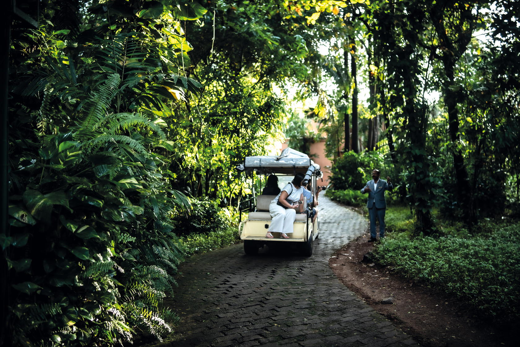 Herbs grown on the resort grounds are used in some ayurvedic remedies (Credit: The St. Regis Goa Resort)