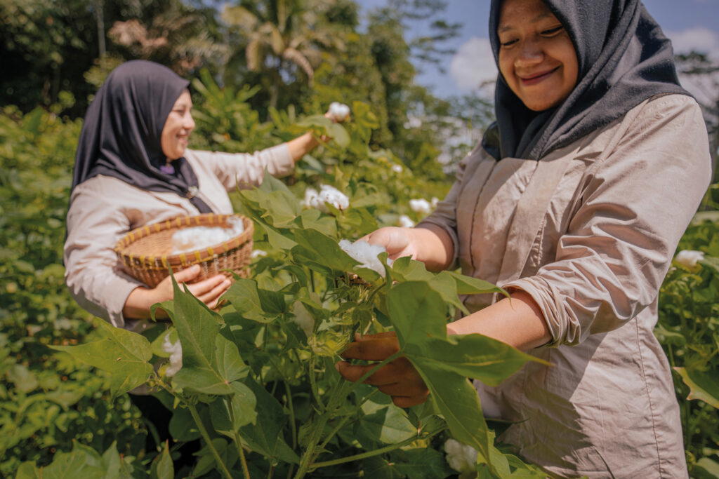 Ibus in a cotton field near Central Java, Indonesia. Ibu is also a term of respect used for elder craftswomen, and SukkhaCitta helps them earn a living wage through their traditional crafts (Credit: Rolex)