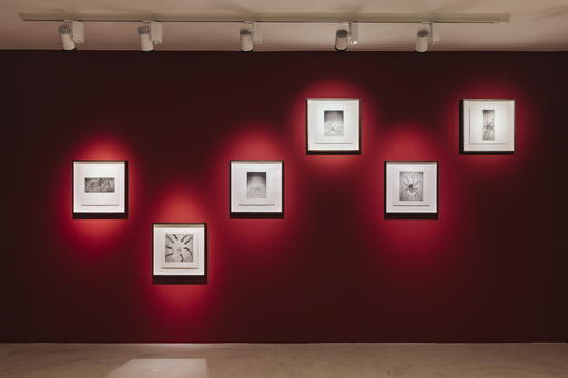 Credit: The Print Show