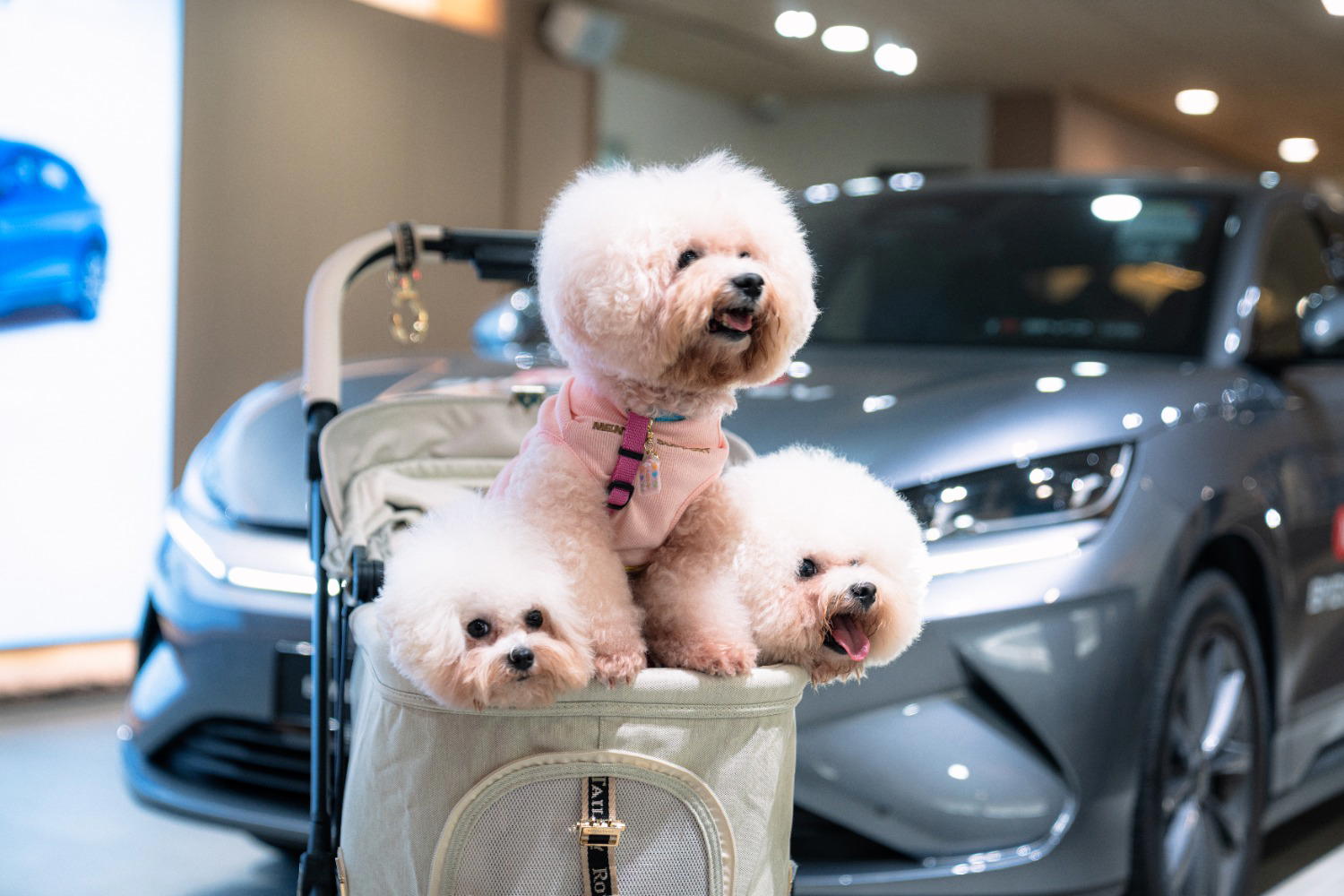 The pet-friendly space features waste disposal bags, pet waste spray, and dedicated pet waste bins