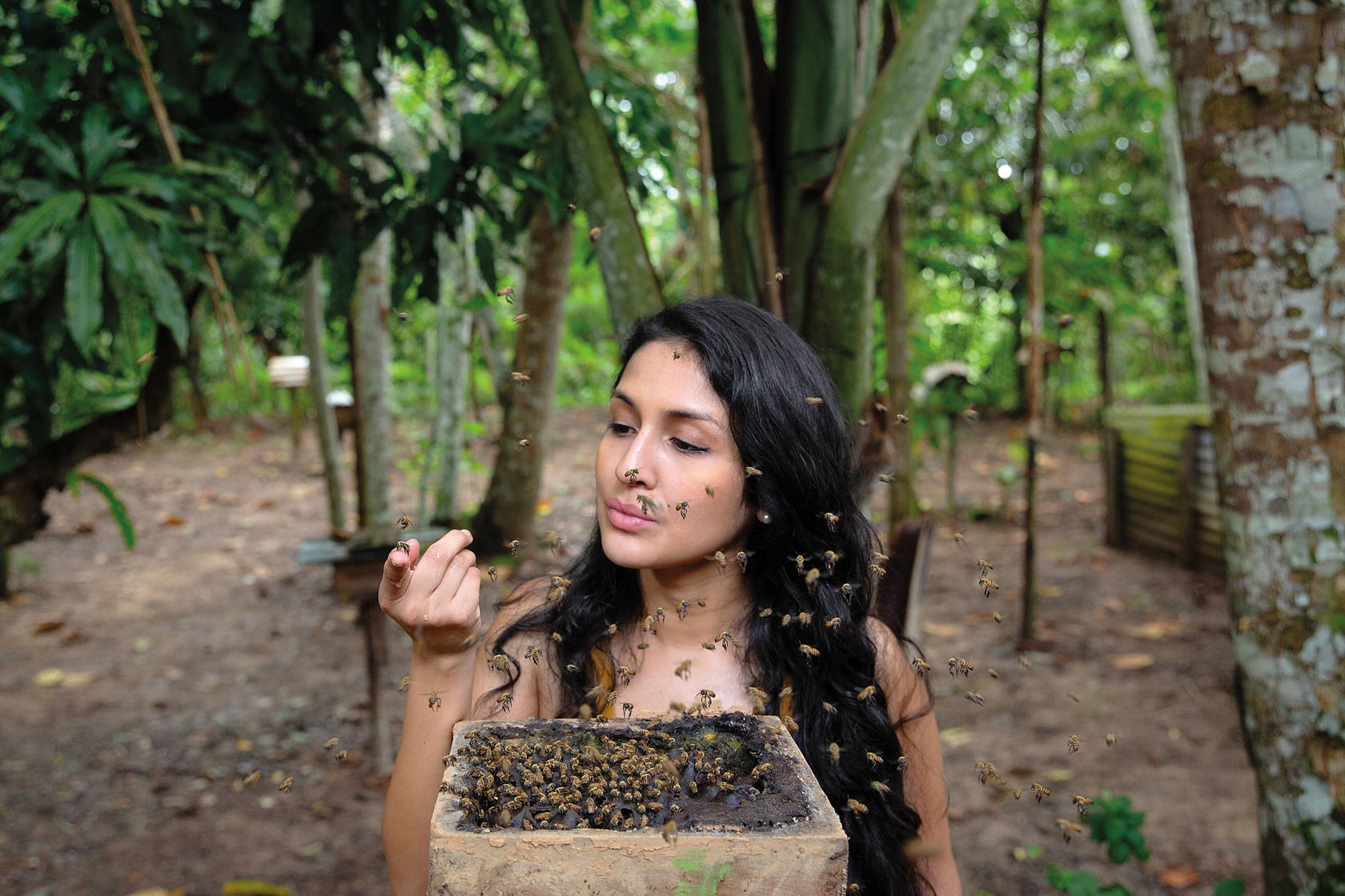 Rosa Vásquez Espinoza in the Amazon Rainforest, with a hive of stingless bees. The Rolex Award will allow her to expand an indigenous-led corridor of protected stingless bee habitats in the Peruvian Amazon (Credit: Ana Sotelo)