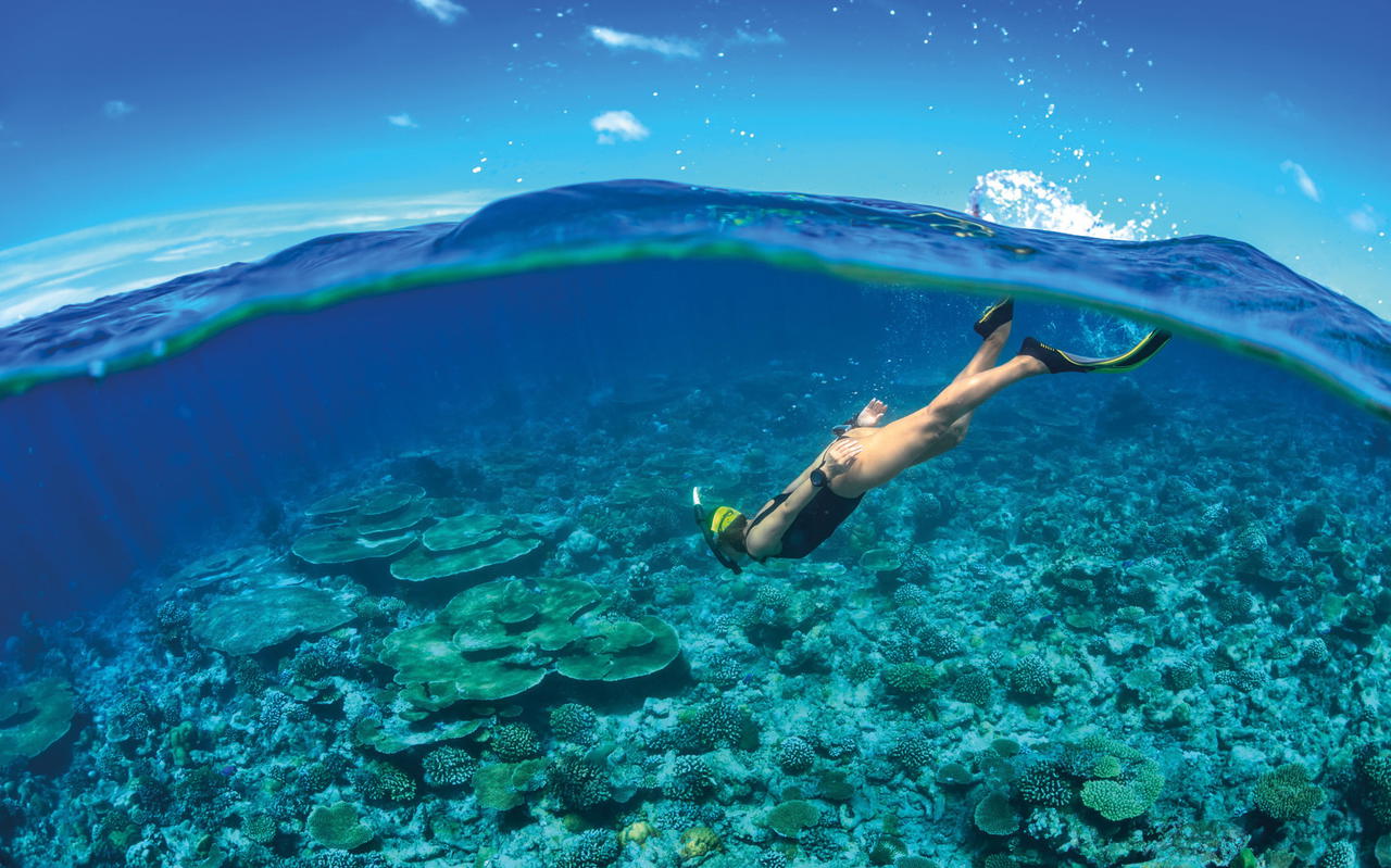Booted out of diving class at SAii Phi Phi Island Village, the writer pleaded with her instructor: “Bring me to see the fishes!” (Credit: SAii Hotels & Resorts)