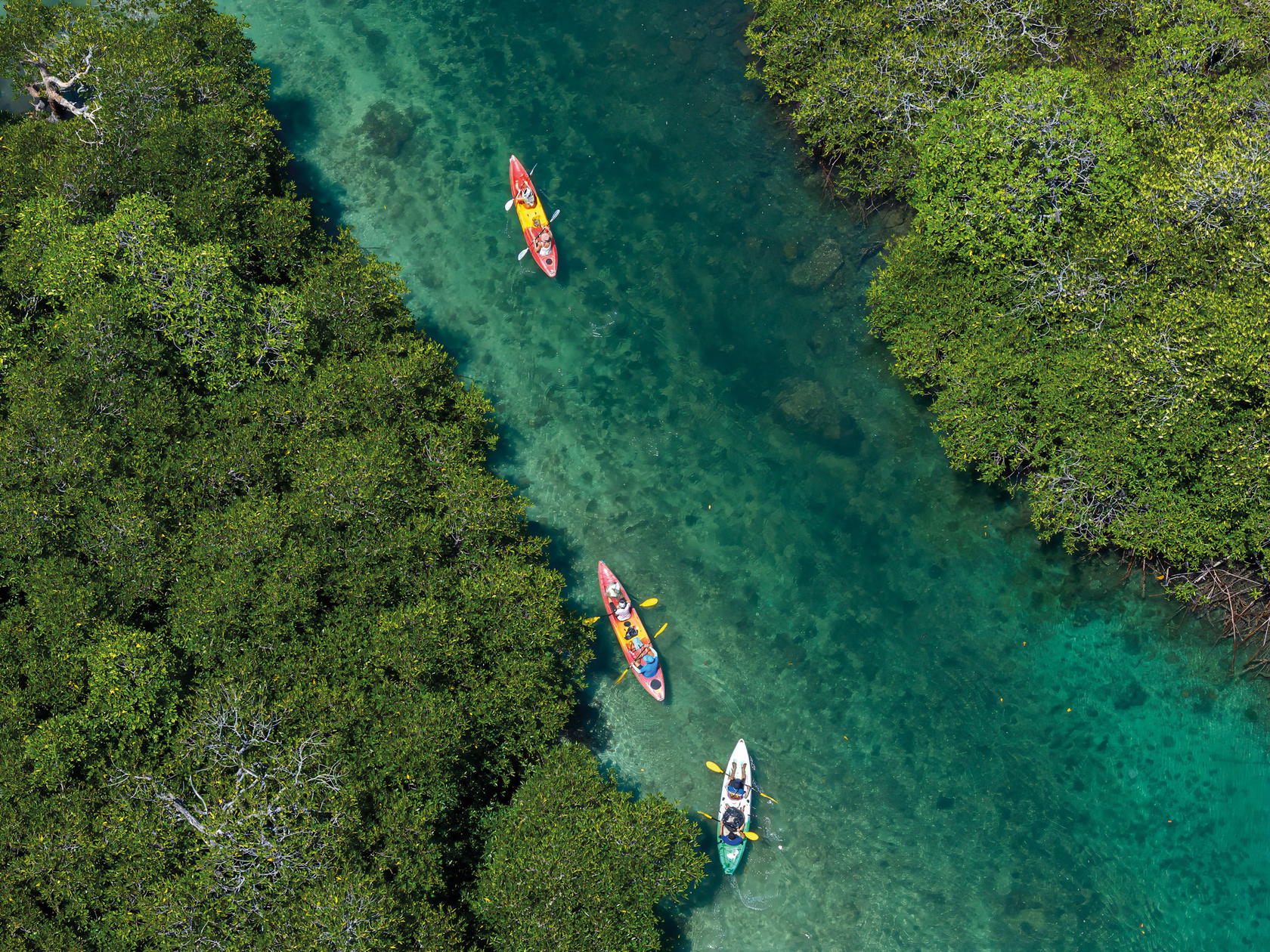 Slowing down with a Mangrove Forest Bathing experience (Credit: SAii Hotels & Resorts)