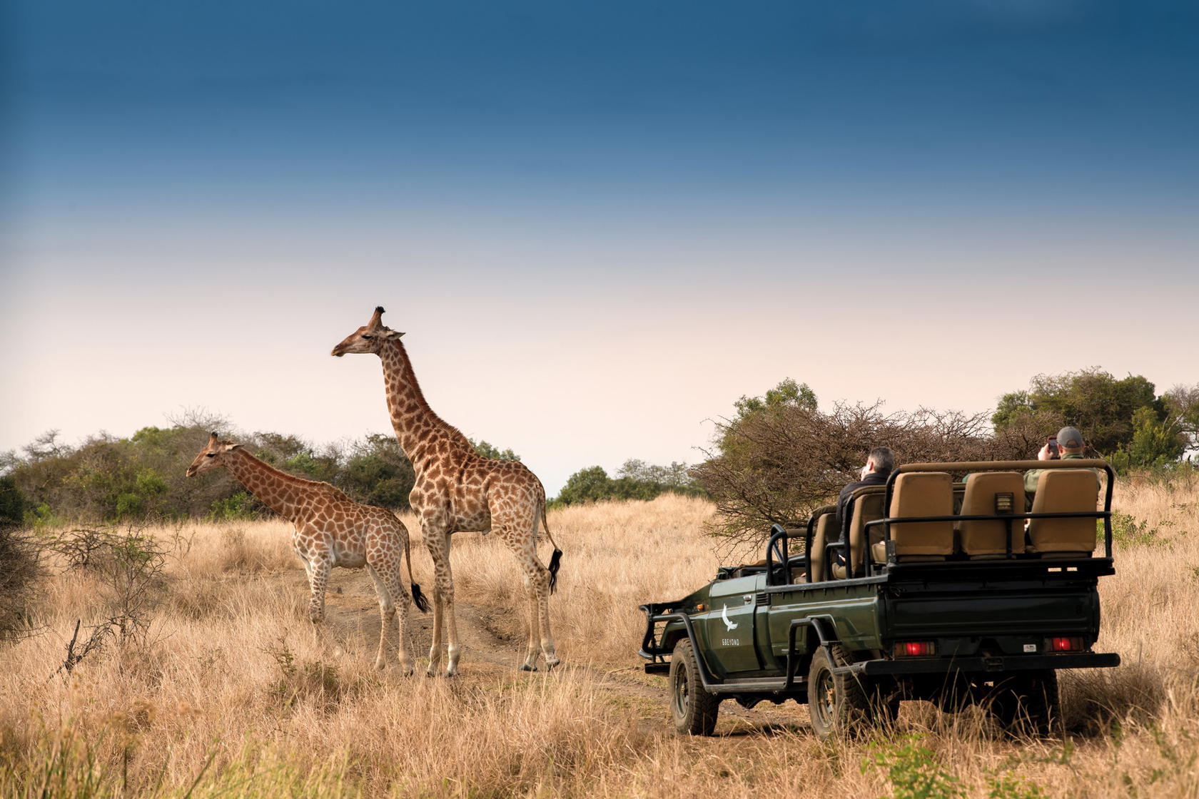 Giraffes grazing on reclaimed farmland (Credit: andBeyond)