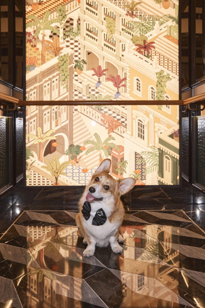 The room service menu offers dog meals such as steak tartare with brown rice (Credit: QT Singapore)