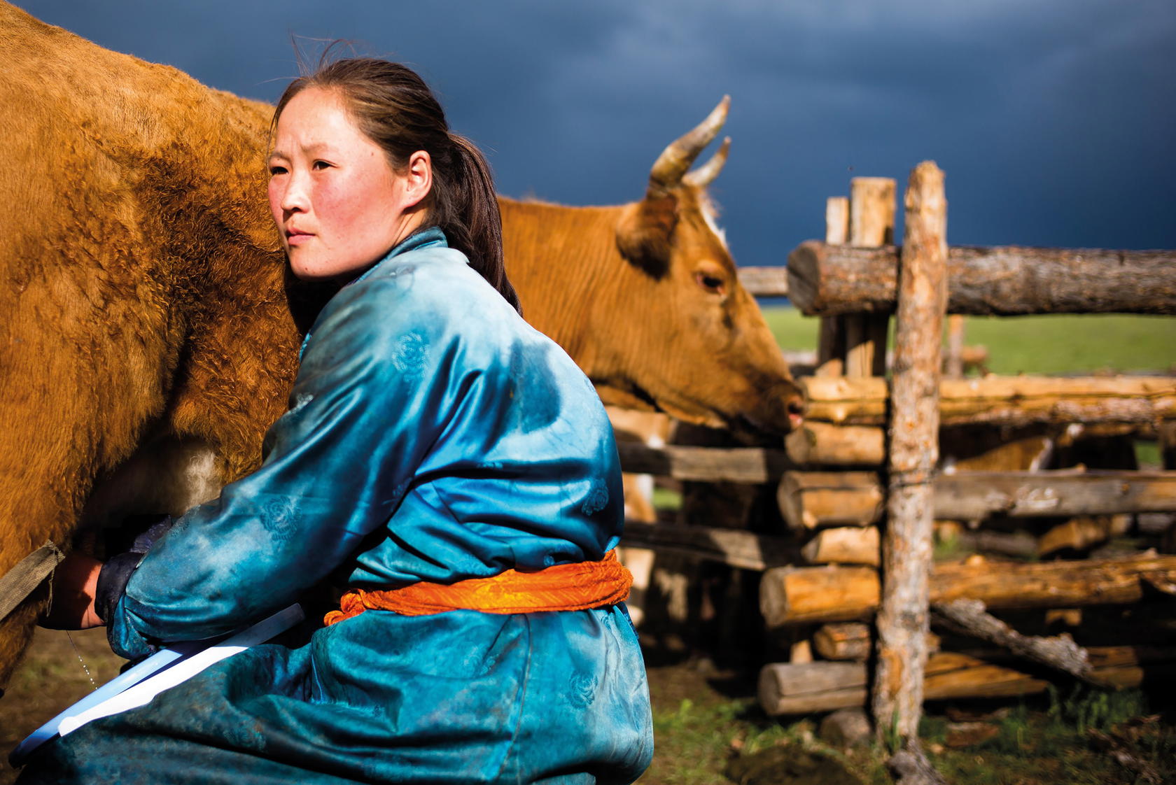A nomadic woman carrying out chores (Credit: A. PregnanA)