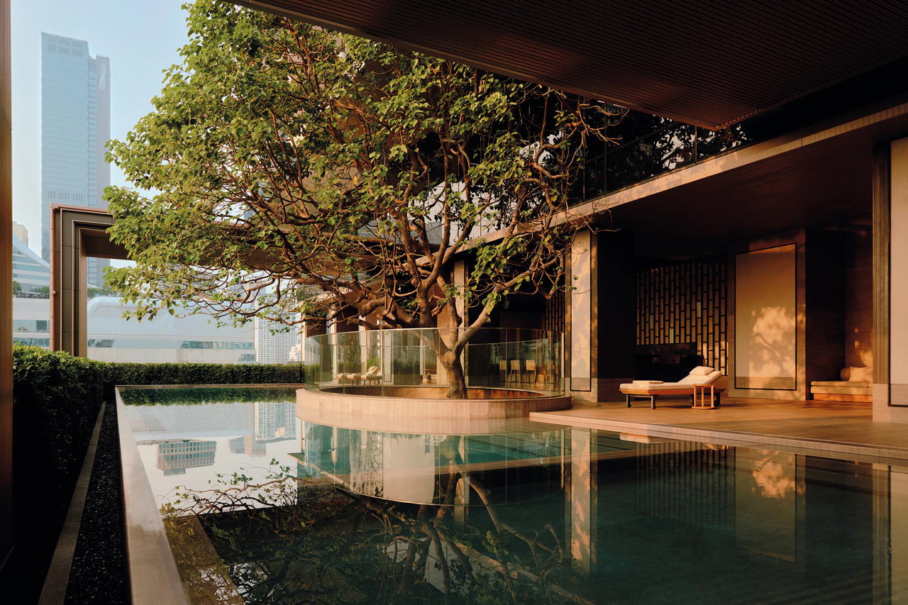 A century-old Sompong tree stretches over the pool of Aman Nai Lert Bangkok (Credit: Aman Nai Lert Bangkok)