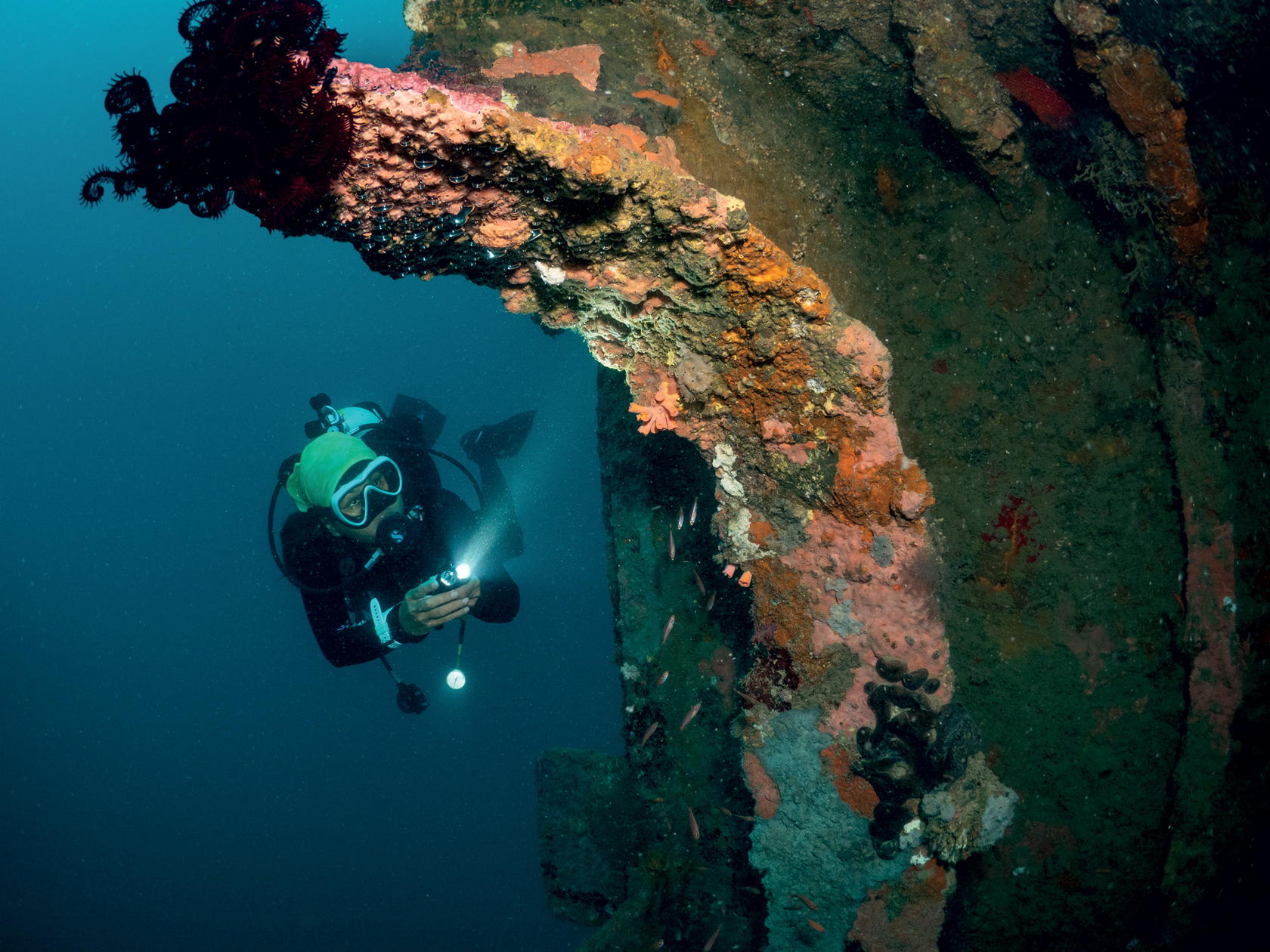 One of Sipalay’s best-preserved dive sites is the 66-m sunken cargo ship MS Jojo in Campomanes Bay (Credit: Manami Resort)