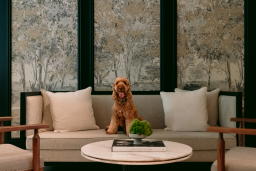 Mett Singapore has more pet-friendly experiences in the pipeline, including a curated walking guide around Fort Canning Park (Credit: Mett Singapore. )