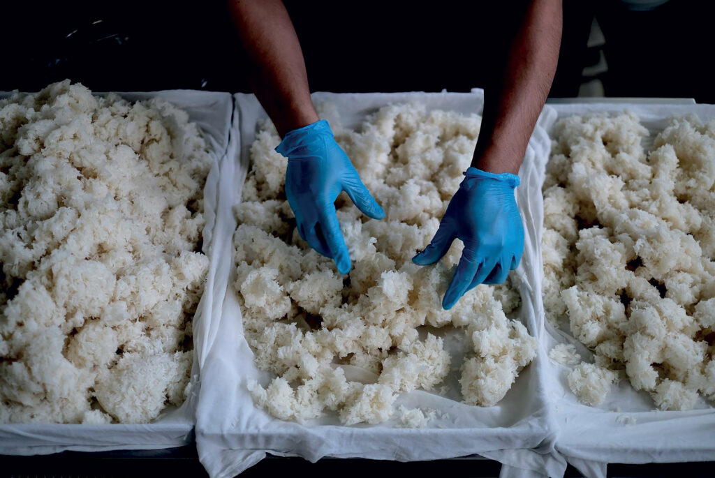 At Devanom, rice is soaked and steamed with luk paeng, then fermented with yeast (Credit: Devanom)