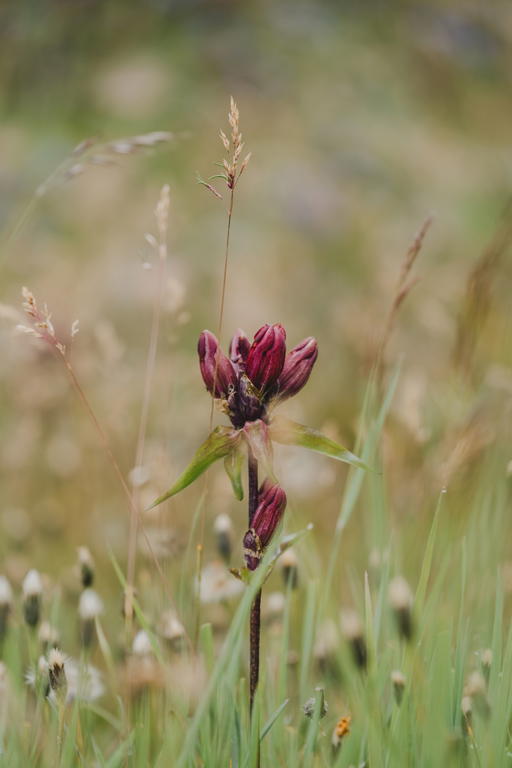 When death nears, hope may rest on immediate things like being able to enjoy the sunshine or a loved one’s presence (Credit: Pexels. )